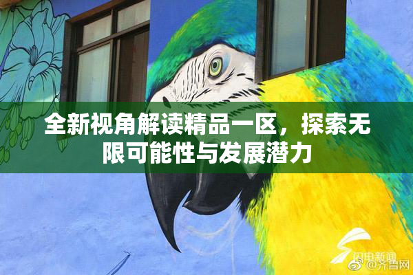 全新视角解读精品一区，探索无限可能性与发展潜力