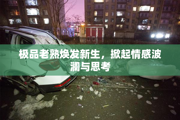极品老熟焕发新生，掀起情感波澜与思考