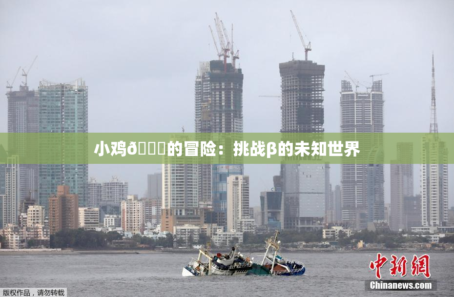 小鸡🐔的冒险：挑战β的未知世界