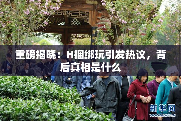 重磅揭晓：H捆绑玩引发热议，背后真相是什么