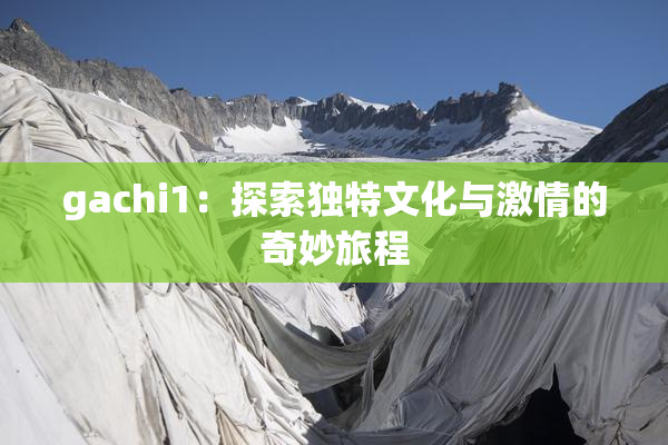 gachi1：探索独特文化与激情的奇妙旅程