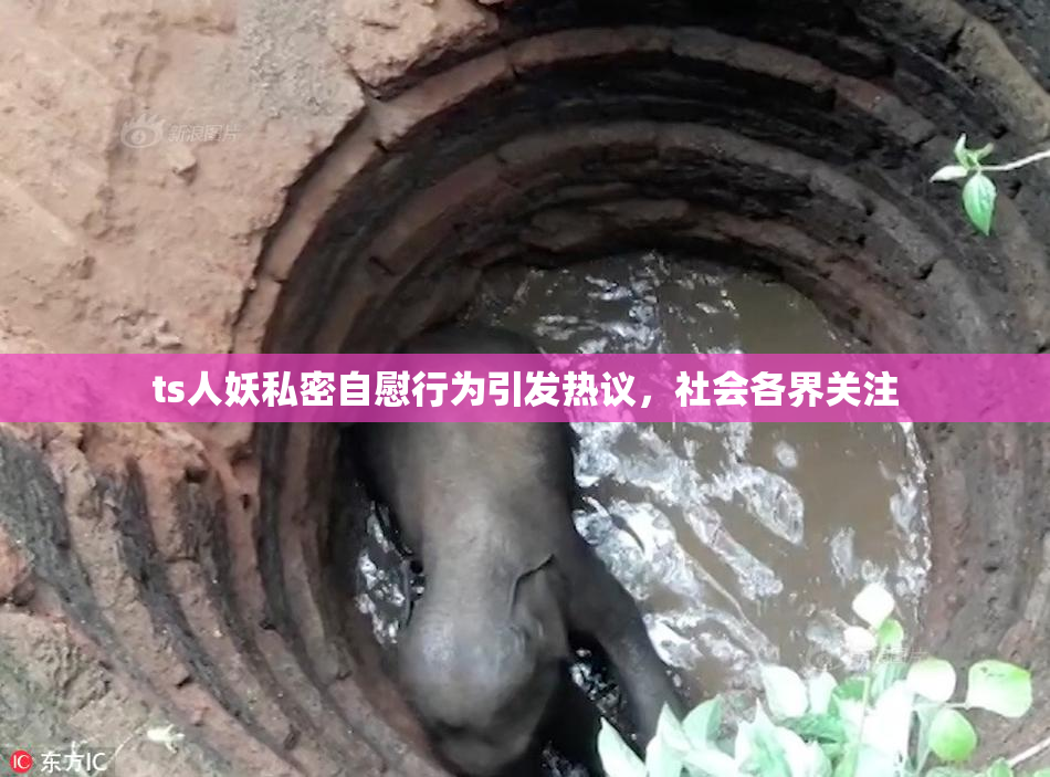 ts人妖私密自慰行为引发热议，社会各界关注