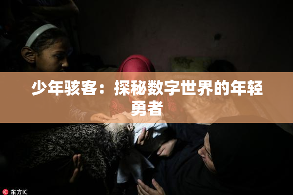 少年骇客：探秘数字世界的年轻勇者