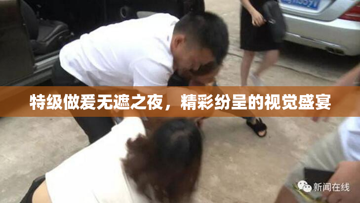 特级做爰无遮之夜，精彩纷呈的视觉盛宴