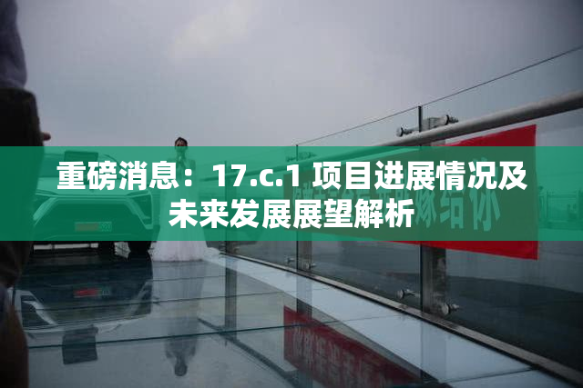 重磅消息：17.c.1 项目进展情况及未来发展展望解析