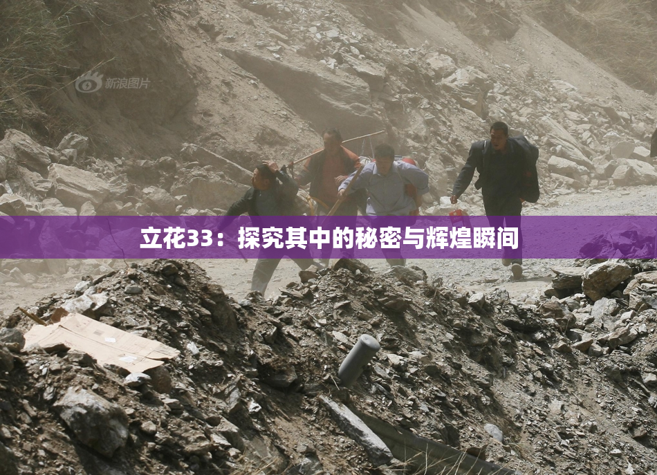 立花33：探究其中的秘密与辉煌瞬间