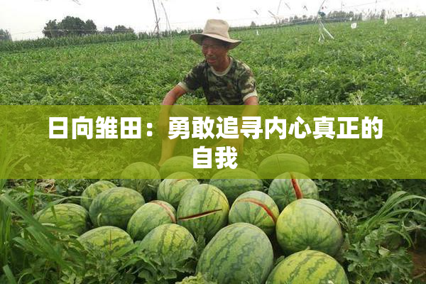 日向雏田：勇敢追寻内心真正的自我