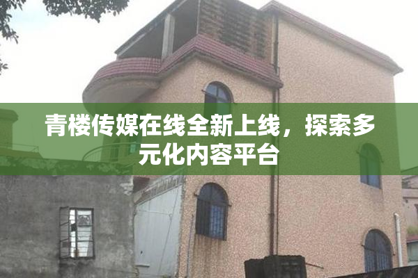 青楼传媒在线全新上线，探索多元化内容平台