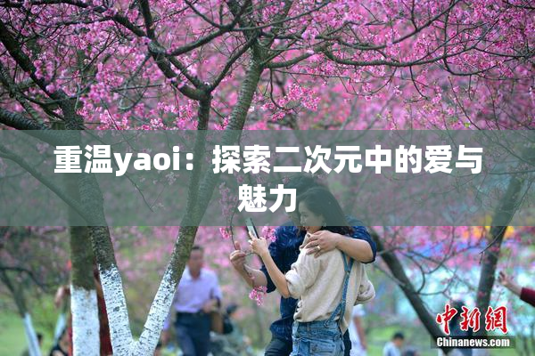 重温yaoi：探索二次元中的爱与魅力
