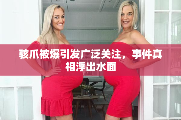 骇爪被爆引发广泛关注，事件真相浮出水面