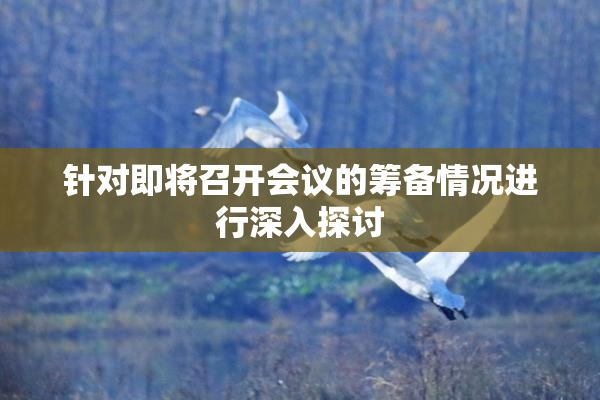 针对即将召开会议的筹备情况进行深入探讨