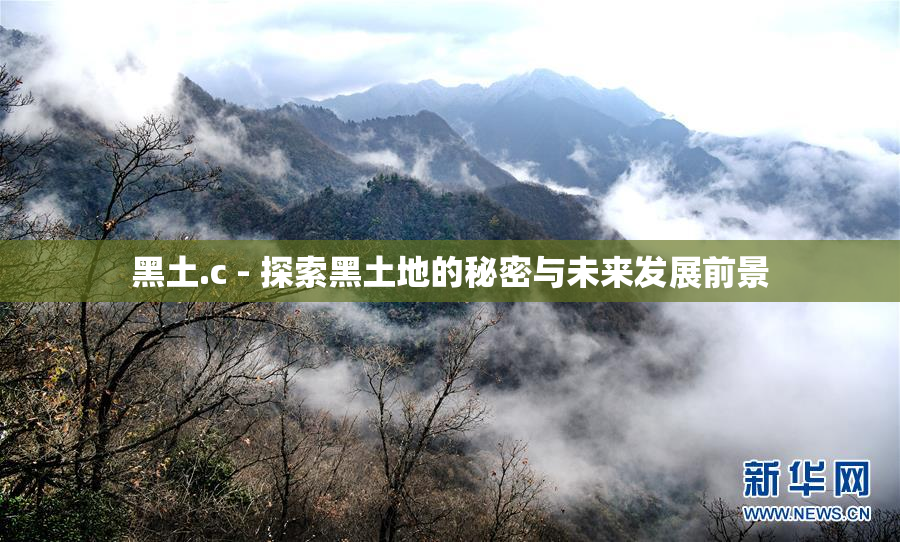 黑土.c - 探索黑土地的秘密与未来发展前景