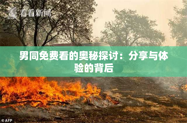 男同免费看的奥秘探讨：分享与体验的背后