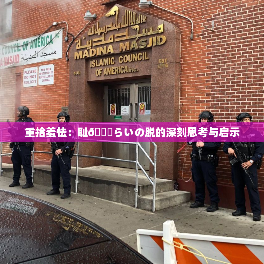 重拾羞怯：耻🍓らいの脱的深刻思考与启示