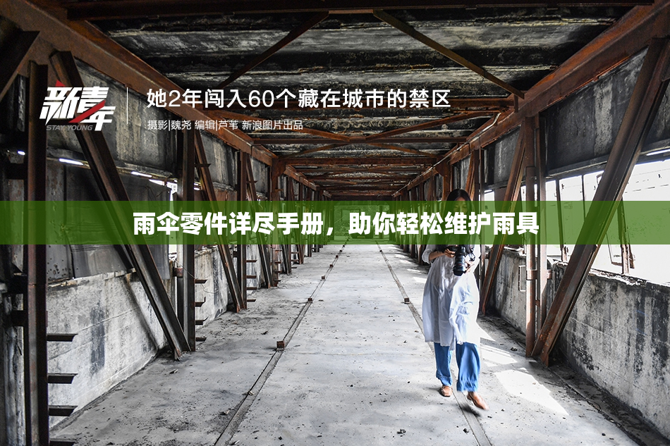 雨伞零件详尽手册，助你轻松维护雨具