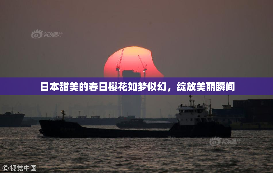 日本甜美的春日樱花如梦似幻，绽放美丽瞬间