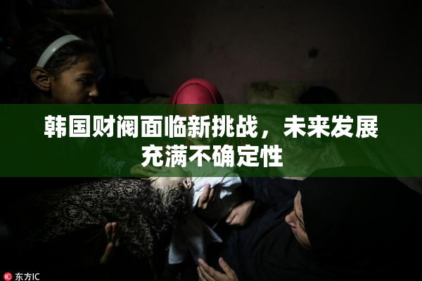 韩国财阀面临新挑战，未来发展充满不确定性