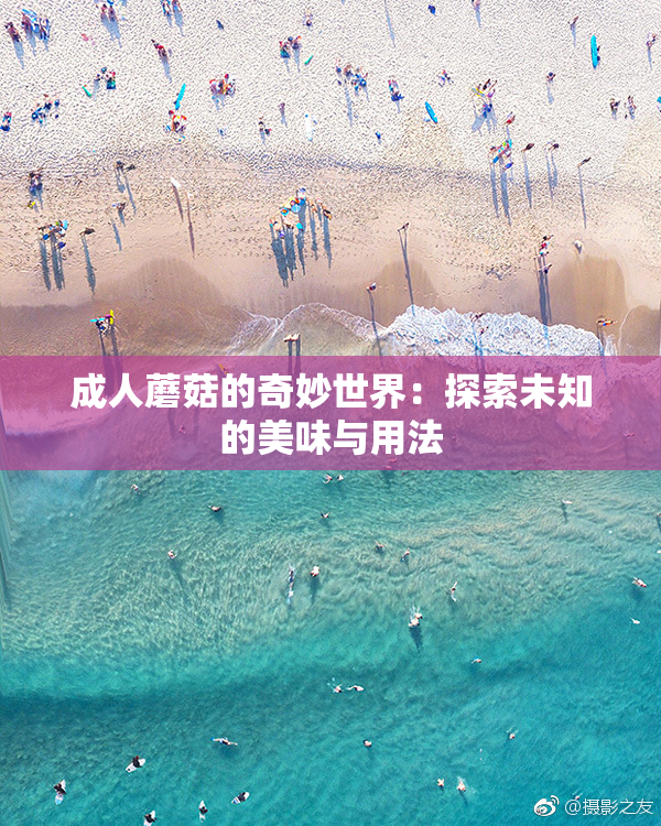 成人蘑菇的奇妙世界：探索未知的美味与用法