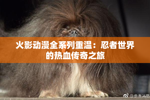 火影动漫全系列重温：忍者世界的热血传奇之旅