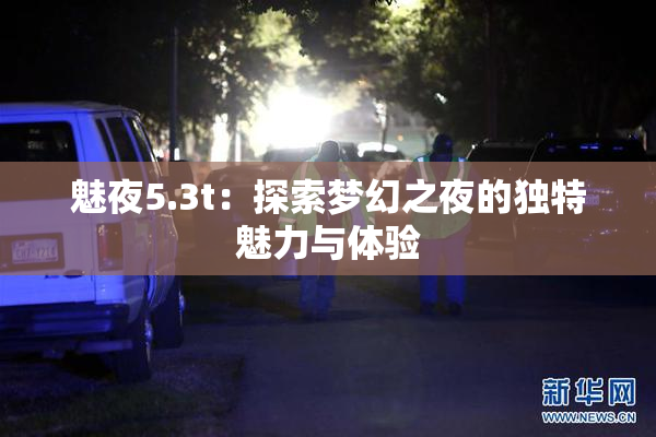 魅夜5.3t：探索梦幻之夜的独特魅力与体验