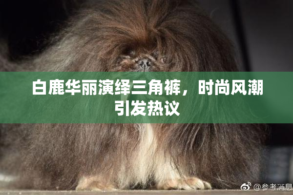 白鹿华丽演绎三角裤，时尚风潮引发热议