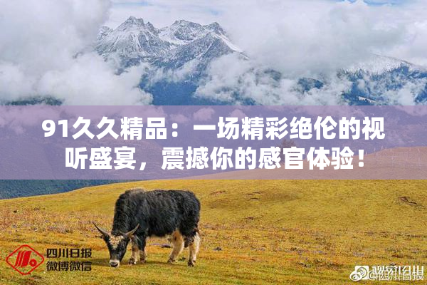 91久久精品：一场精彩绝伦的视听盛宴，震撼你的感官体验！