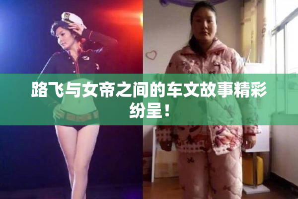 路飞与女帝之间的车文故事精彩纷呈！
