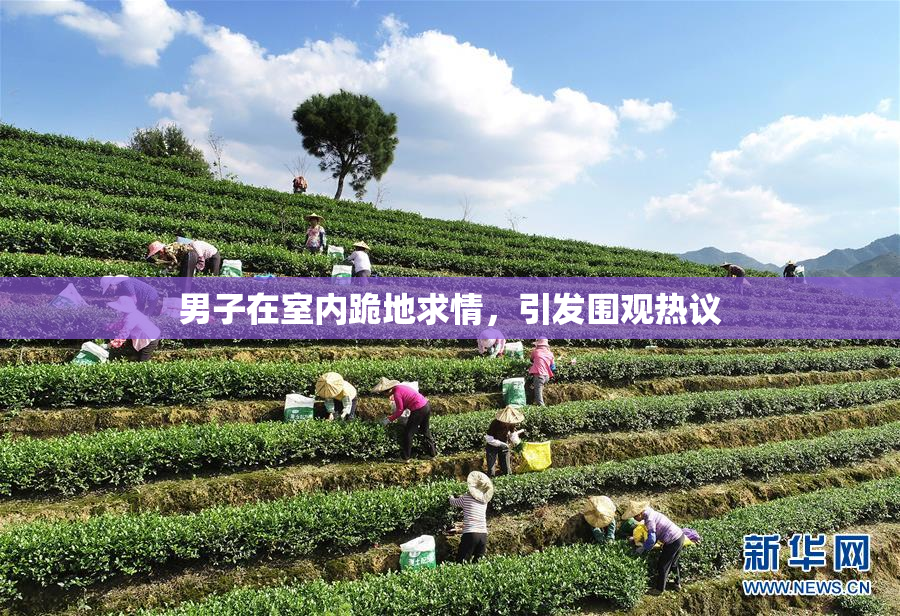 男子在室内跪地求情，引发围观热议