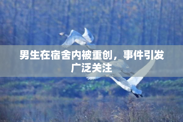 男生在宿舍内被重创，事件引发广泛关注