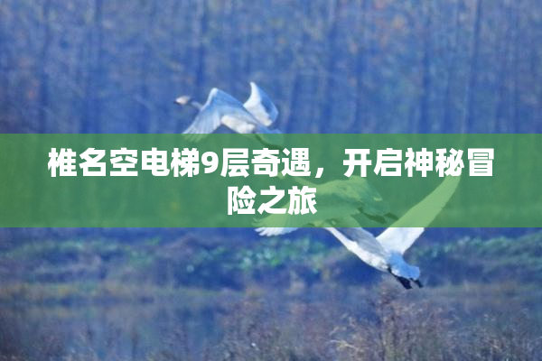 椎名空电梯9层奇遇，开启神秘冒险之旅