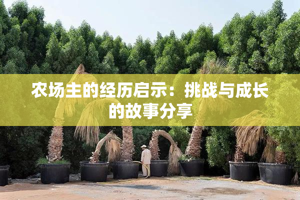 农场主的经历启示：挑战与成长的故事分享
