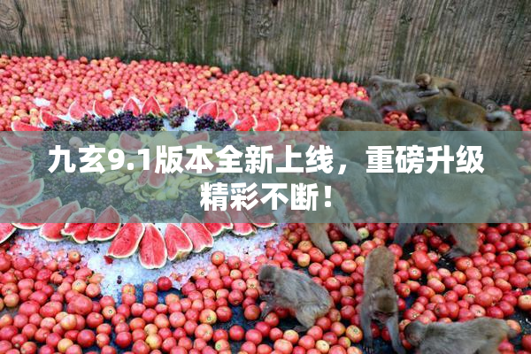 九玄9.1版本全新上线，重磅升级精彩不断！