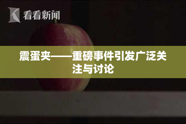 震蛋夹――重磅事件引发广泛关注与讨论