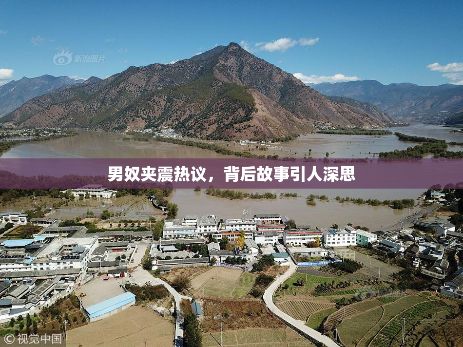 男奴夹震热议，背后故事引人深思