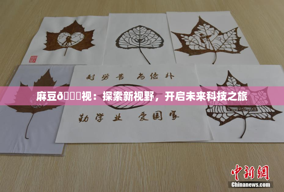 麻豆🔞视：探索新视野，开启未来科技之旅