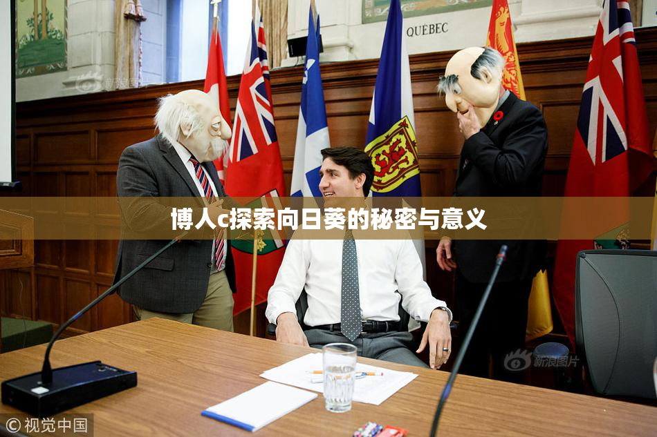 博人c探索向日葵的秘密与意义