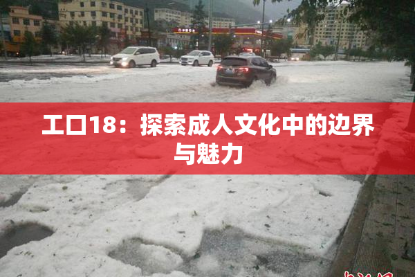 工口18：探索成人文化中的边界与魅力