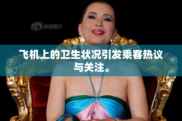 飞机上的卫生状况引发乘客热议与关注。