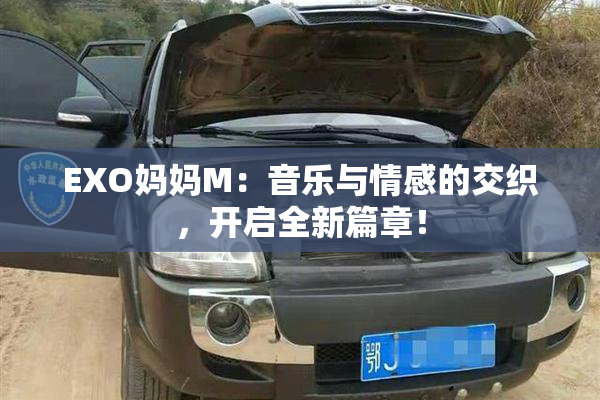 EXO妈妈M：音乐与情感的交织，开启全新篇章！