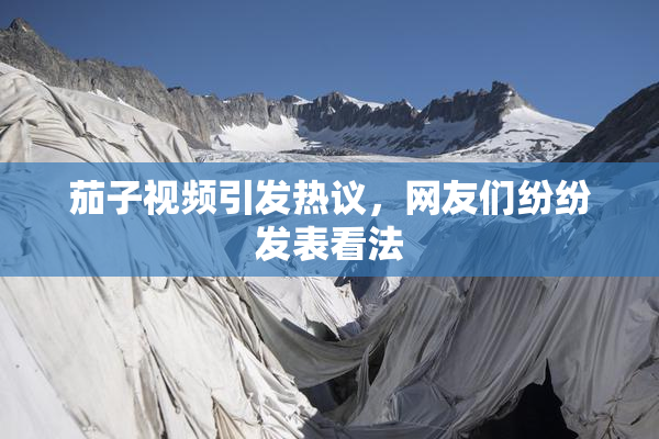 茄子视频引发热议，网友们纷纷发表看法