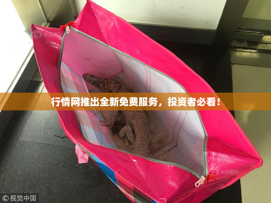 行情网推出全新免费服务，投资者必看！