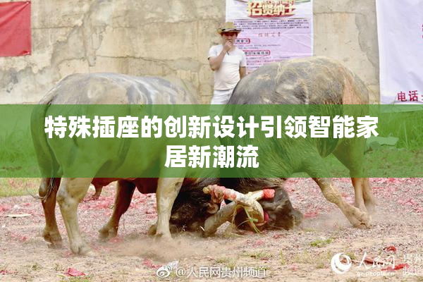 特殊插座的创新设计引领智能家居新潮流