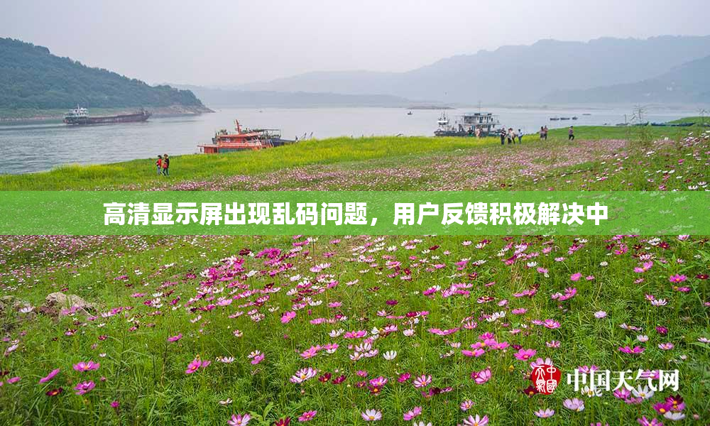 高清显示屏出现乱码问题，用户反馈积极解决中