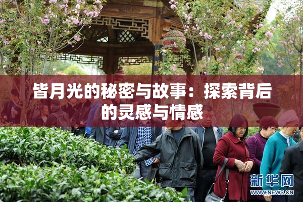 皆月光的秘密与故事：探索背后的灵感与情感