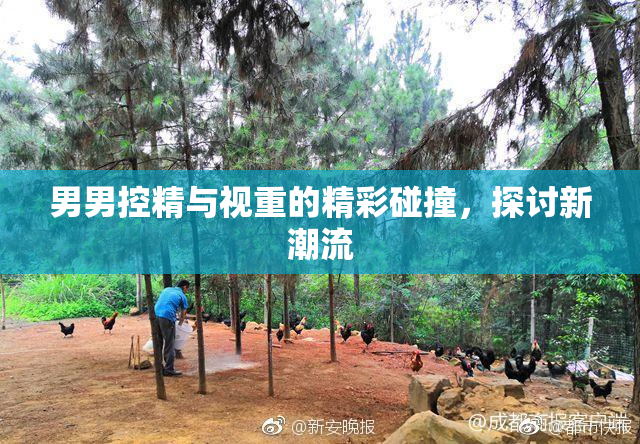 男男控精与视重的精彩碰撞，探讨新潮流