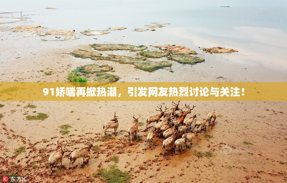 91娇喘再掀热潮，引发网友热烈讨论与关注！