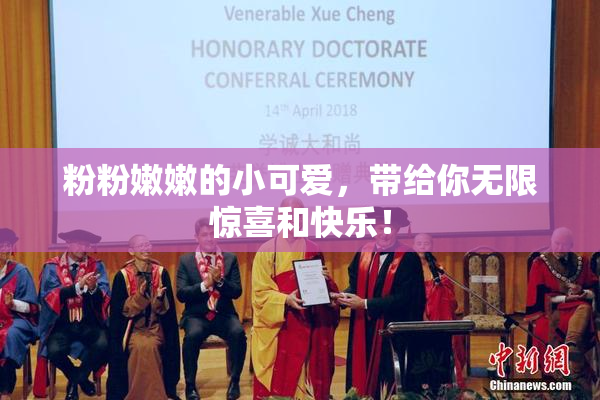 粉粉嫩嫩的小可爱，带给你无限惊喜和快乐！