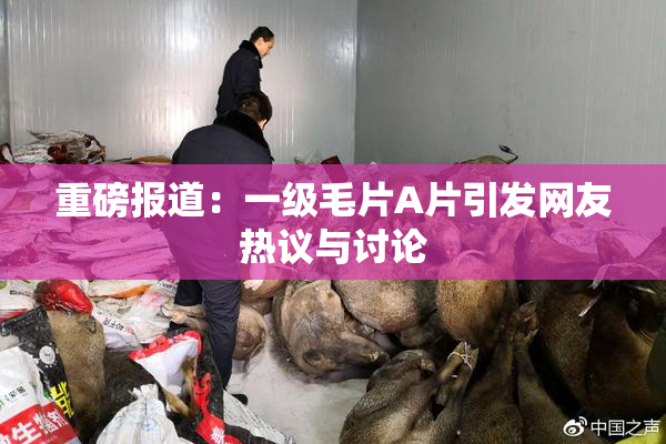 重磅报道：一级毛片A片引发网友热议与讨论
