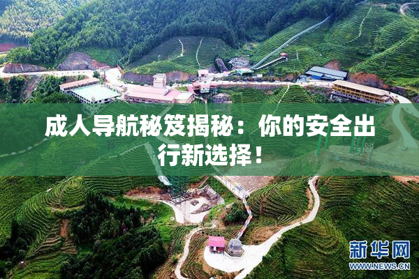 成人导航秘笈揭秘：你的安全出行新选择！