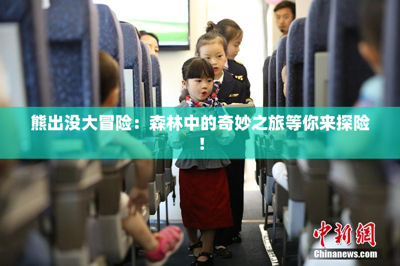 熊出没大冒险：森林中的奇妙之旅等你来探险！